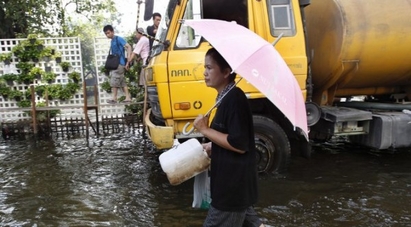 След наводнението: Крокодили плъзнаха из Банкок