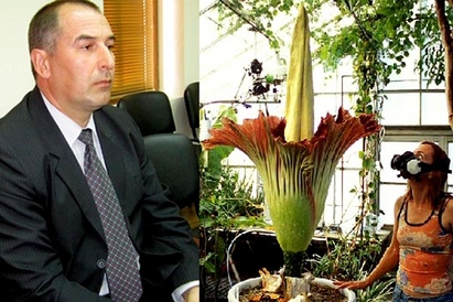 Шефът на полицията в Созопол отглежда гигантско цвете с мирис на труп