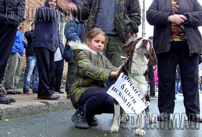 Жандармерия заварди Бродилово, в селото ще тричат кучето Винету /обновена/