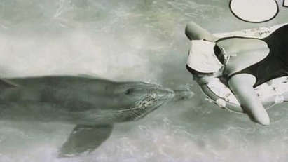 Вижте тъжната история на един влюбен в момиче делфин