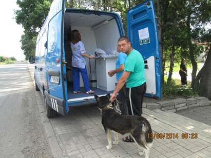 Община Бургас извършва безплатна кастрация на домашни кучета
