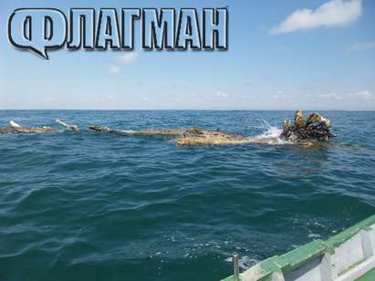 Опасност в морето край Черноморец! Огромно плаващо дърво може да разбие лодки и джетове, Морска администрация спи (СНИМКИ И ВИДЕО)
