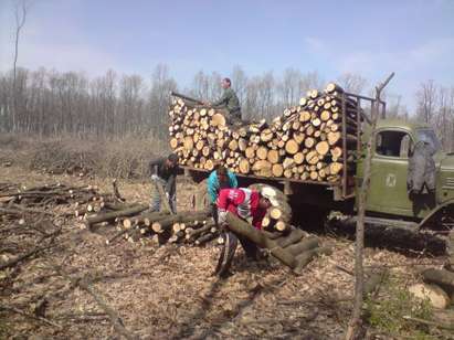 ГЕРБ: Хората в Руен мръзнат, Общината не доставя дървата за огрев