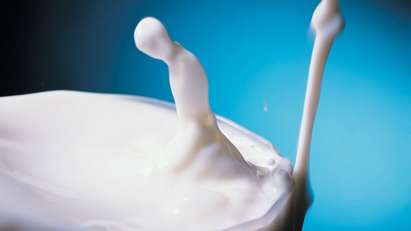 НАП продава 20 т прясно мляко на търг