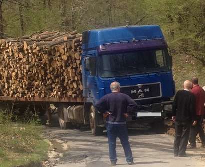 Претоварен камион с крадени дърва блокира път в Странджа (СНИМКИ)