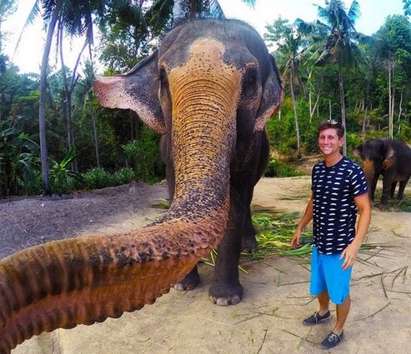 Невероятно: Слон си направи селфи (ВИДЕО)