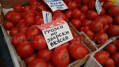 „Грозни домати“ станаха хит на пазара в Бургас