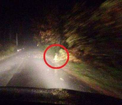 Призрачно момиче плаши шофьори, крие се в гъста гора