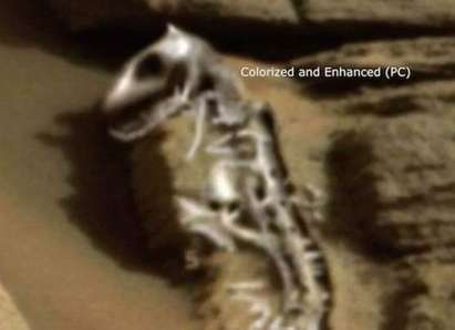 Откриха скелет на динозавър на Марс?