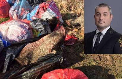 Общински съветник от ГЕРБ Царево спипан да бракониерства