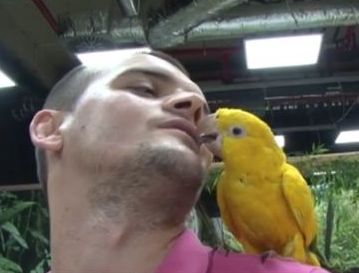 Говорящи папагали целуват бургазлии