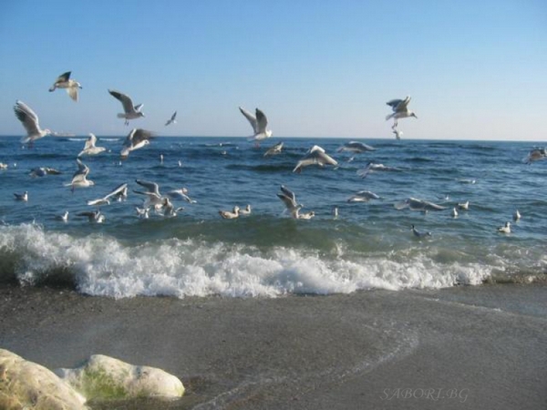 Слънчево и топло време ни очаква по Черноморието днес