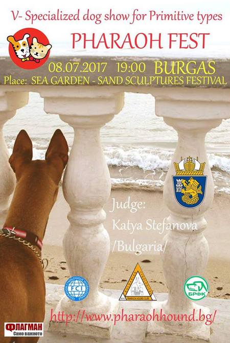 За първи път в Бургас: Кучета-фараони сред пясъчните фигури