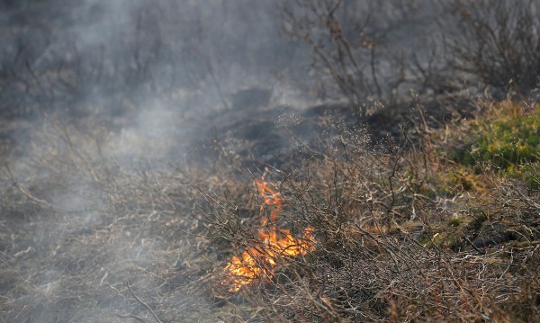 Огнена стихия край Манчестър, има евакуирани