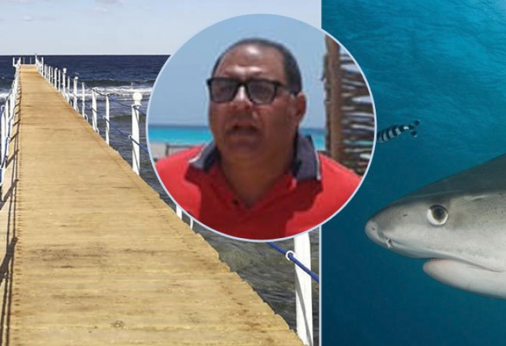 Вледеняващи кръвта подробности за смъртта на чеха, изяден от акула в Египет (СНИМКА)