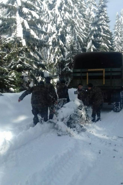 Зрелищни снимки от борбата на военни с тежките зимни условия на прохода Превала