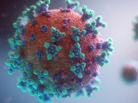 Защо никой досега не е починал от коронавирус и изработва ли въобще организмът антитела