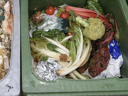 Изхвърляме над 920 млн. тона храна годишно