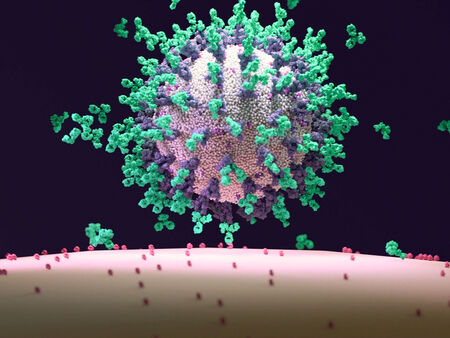Сезонен ли е вирусът SARS-CoV-2? Проучване сочи, че той се държи като инфлуенцата