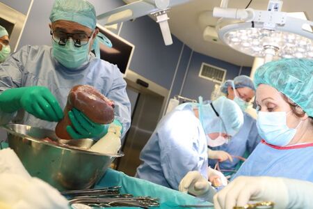 С един донорски черен дроб направиха трансплантация на жена и бебе