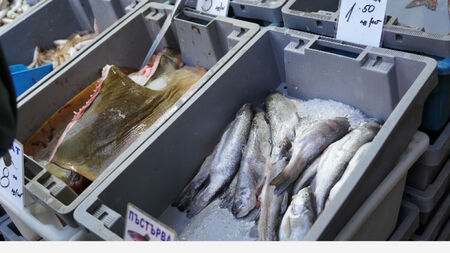 В Бургас черноморската риба достигна най-ниските си цени