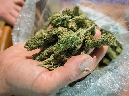 Млад бургазлия нощува в ареста, откриха 28 плика с марихуана в буса му