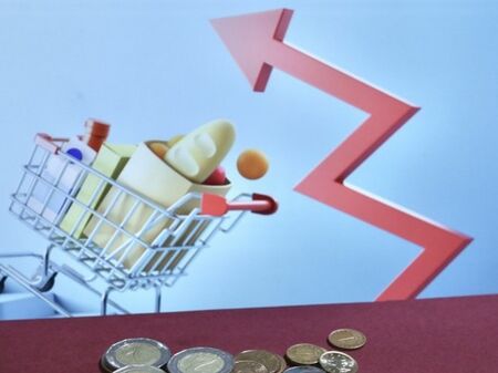 Зайкова: В следващите 10 г. инфлацията няма да стигне ниски нива