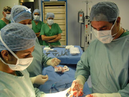 Съдов хирург от ВМА започва прегледи в Бургас