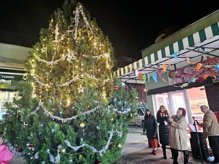 Грейна чудната елха на пазар „Краснодар“ в Бургас