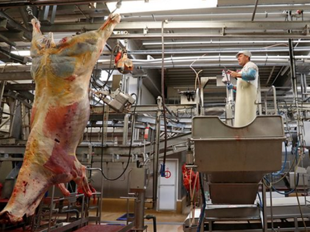 Българин почина от задушаване в цех за месо в Белгия