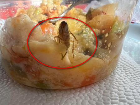 Майка намери хлебарка в храна, взета от детска кухня