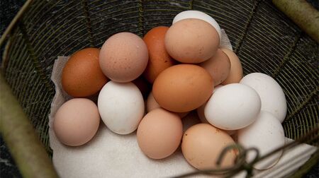 Обичате ли яйца? Ето как да ги готвите, за да са полезни за здравето