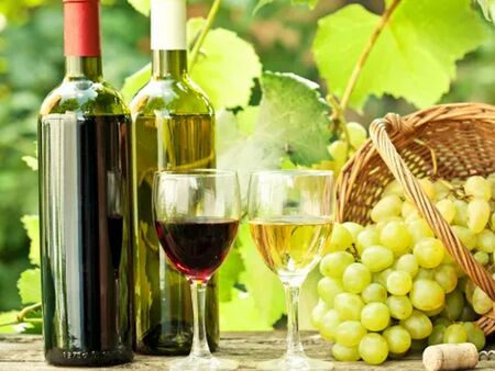 Защо българското вино бе световен лидер, но все повече губи позиции на пазара