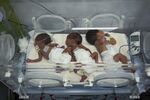 Хиляди замразени ембриони за инвитро процедури в Газа са унищожени от израелски удар