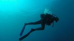 Близо 15 тротинетки бяха извадени от водата на Морската гара във Варна