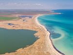Няма да повярвате какво вече плува в Черно море!