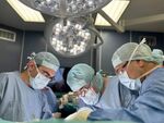Ще заявяваме волята си за вземане на органи с декларация
