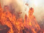 Нов голям пожар в България