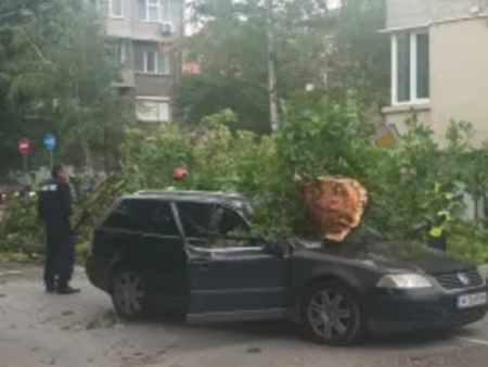 Идва ли Европейска пролет? Прогресивни сили, начело със Салвини, може да спрат реакционните Меркел и Макрон