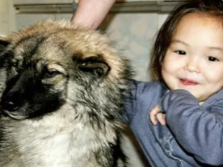 Какво се случва днес с момиченцето, което се изгуби в сибирската пустош и оцеля