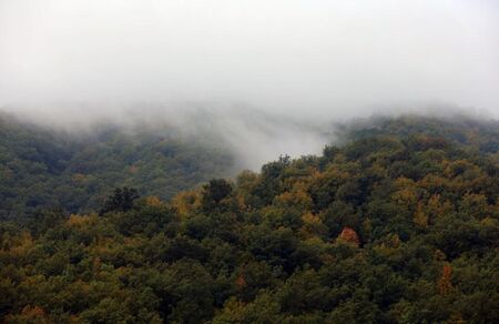 Утре Маргарита Петкова представя премиерно новата си книга „Тъй рече Виктор“ в Бургас