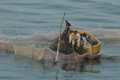 4 км бракониерски мрежи са иззети от езерото “Вая”