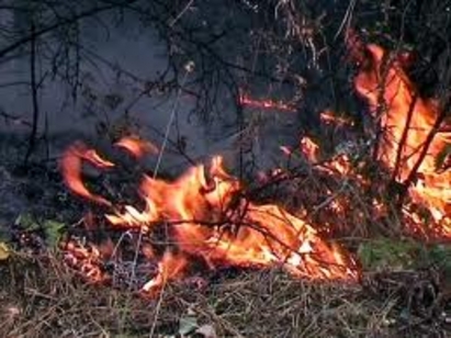 Деца подпалиха треви при игра в „Меден рудник”