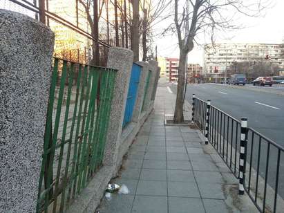 Коренища бутат оградата на ОУ „Васил Априлов”, рухва към бул. Сан Стефано