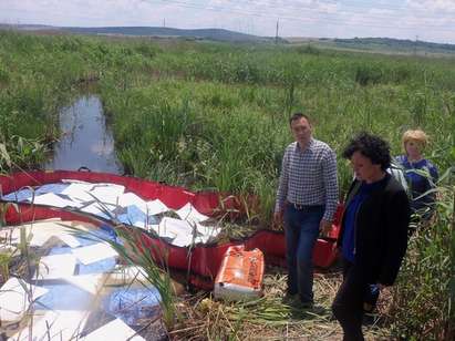 МОСВ събира сигнали за мъртви птици и риба от разлива край Вая, няма данни за замърсяване в езерото