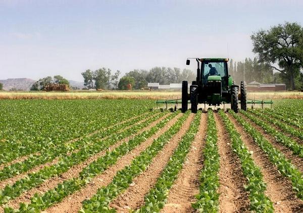 2000 земеделски производители от Бургаска област не са декларирали пред НАП дохода си от субсидии