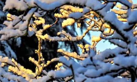 Февруари започва със слънце, температурите - между 9° и 14°