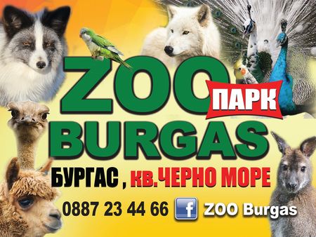 На 1 юни Зоопарк Бургас ще работи със свободен вход за децата