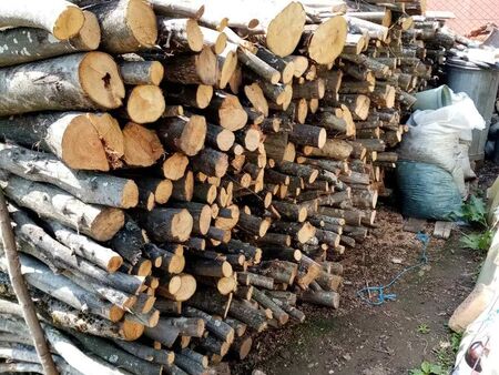 Охранители от Югоизточното държавно предприятие заловиха незаконна дървесина