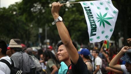 Мексико разреши марихуаната за удоволствие